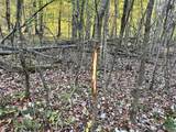 80 Ac County Road G - Photo 22