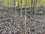 80 Ac County Road G - Photo 29