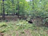 80 Ac County Road G - Photo 4