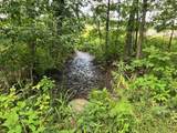 80 Ac County Road G - Photo 6