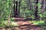 11 Juniper Trail - Photo 60