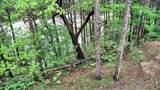 11 Juniper Trail - Photo 64