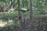 10.54 Acres County Road D - Photo 9