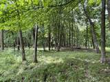 Lt 148 Pine Cone Lane - Photo 4