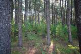 Lot 1,2,3,4 Cty Road A - Photo 11