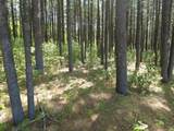 Lot 1,2,3,4 Cty Road A - Photo 22