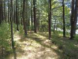 Lot 1,2,3,4 Cty Road A - Photo 23