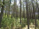 Lot 1,2,3,4 Cty Road A - Photo 26