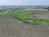 59 acres Meek Road - Photo 10
