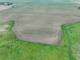 59 acres Meek Road - Photo 12