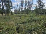 491 St Andrews Trail - Photo 7