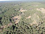 80 AC 9th Acres - Photo 30