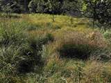 80 AC 9th Acres - Photo 38