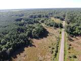 80 AC 9th Acres - Photo 4