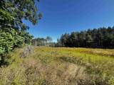 80 AC 9th Acres - Photo 41