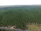 40 AC Buttercup Ave N Acres - Photo 1