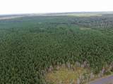 40 AC Buttercup Ave N Acres - Photo 3