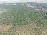 80 AC 16th Ave Acres - Photo 20