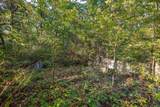 9.15 Acres Arbor Lake S - Photo 15