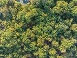 9.15 Acres Arbor Lake S - Photo 19