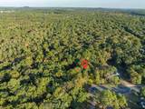 9.15 Acres Arbor Lake S - Photo 5