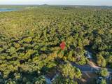 9.15 Acres Arbor Lake S - Photo 9