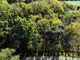 Lt2 Woodcrest Lane - Photo 8