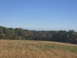  Mimosa Road - Photo 3