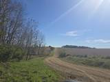  Mimosa Road - Photo 5