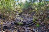 Lot 2 Dividing Ridge Road - Photo 10