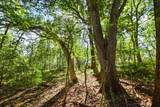 Lot 2 Dividing Ridge Road - Photo 11