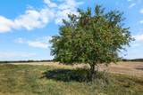 Lot 3 Dividing Ridge Road - Photo 4