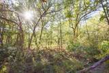 Lot 6 Dividing Ridge Road - Photo 11