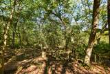 Lot 6 Dividing Ridge Road - Photo 12