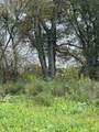 32.25 Acres Hwy 80 - Photo 10