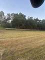 32.25 Acres Hwy 80 - Photo 23