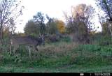 Lot 0 Highway 73 - Photo 36