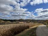 40.90+/- Kinnamon Road - Photo 4