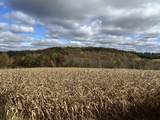 40.90+/- Kinnamon Road - Photo 6