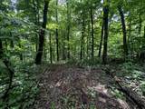 32.18 acres Monarch Avenue - Photo 18