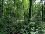 32.18 acres Monarch Avenue - Photo 20