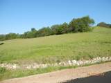 L2 Wild Turkey Lane - Photo 5