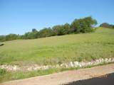 L10 Wild Turkey Lane - Photo 5