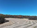 11.5 M/L acres Primrose Center Road - Photo 7