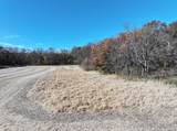 11.5 M/L acres Primrose Center Road - Photo 9