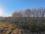 74 M/L Acres York Center Road - Photo 18