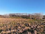 74 M/L Acres York Center Road - Photo 20