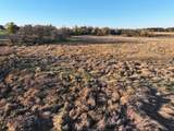 74 M/L Acres York Center Road - Photo 26
