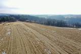 6.26 Acres Lunde Lane - Photo 7
