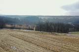 6.26 Acres Lunde Lane - Photo 8